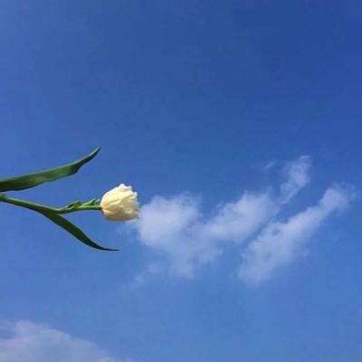跳水群星现身知音号 郭晶晶盛装出席